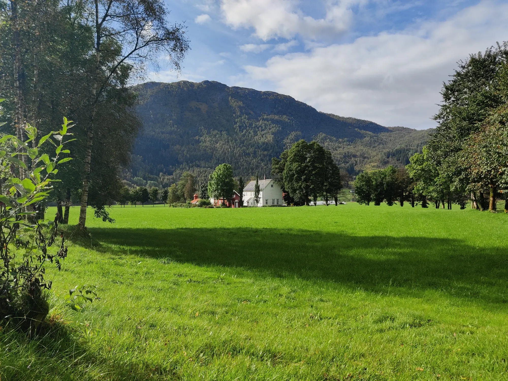 Osen Gard i Bygstad på ein varm sommardag. Grønt græs, blå himmel og gamle, hvite gardsbygninger.